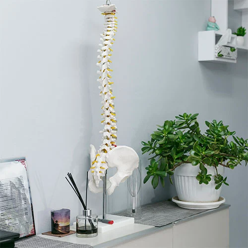 Symbolbild für die neurologische Rehabilitation bei Prof. Dr. Reza Akhavan-Sigari in Bremen